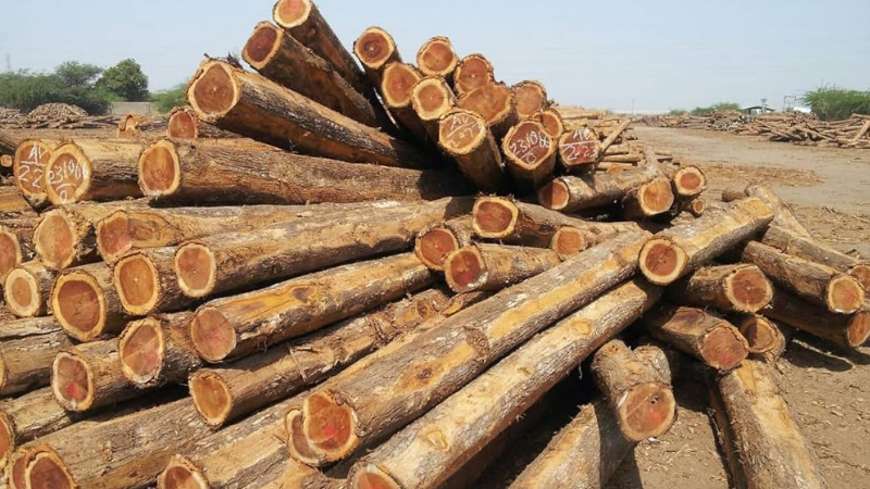 Wood Export teak wood